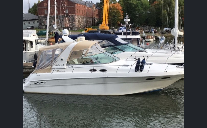 Sea Ray 310-kuva-16